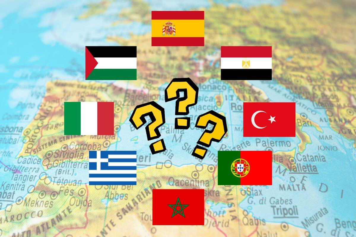 Welk land produceert de meeste olijfolie?